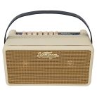 VINTAGE VMA25VW 25w gitárerősítő